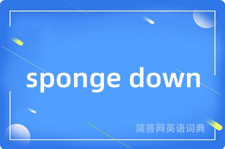 sponge down