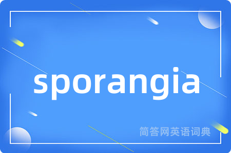 sporangia