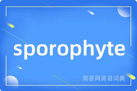sporophyte