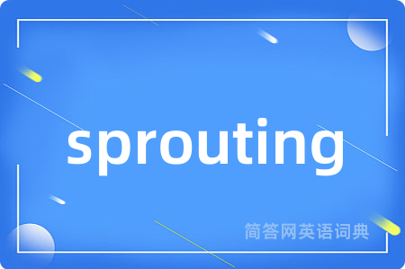 sprouting