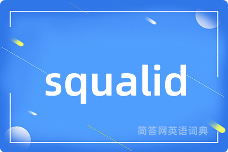 squalid是什么意思,squalid的中文翻译 squalid