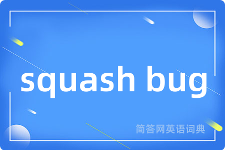 squash bug