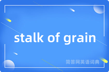 stalk of grain