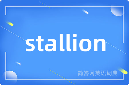 stallion