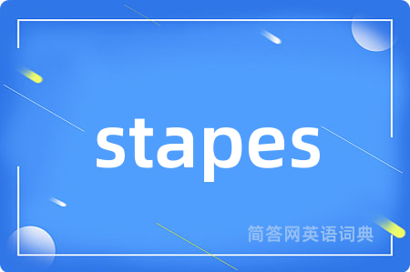 stapes