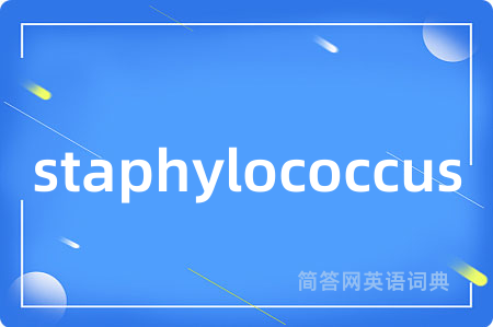 staphylococcus