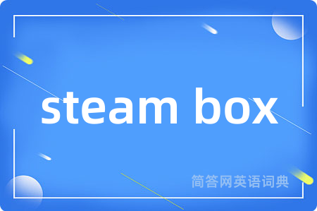 steam box