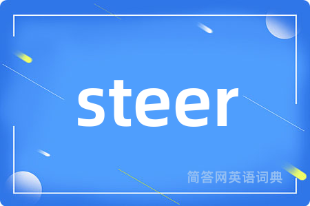 steer