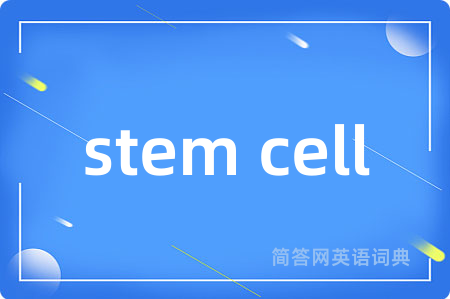 stem cell