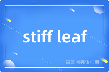 stiff leaf