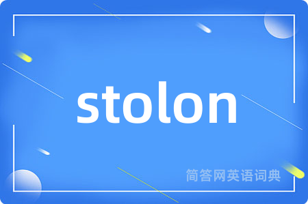 stolon