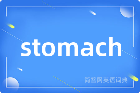 stomach