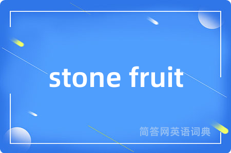 stone fruit是什么意思,stone fruit的中文翻译 stone fruit