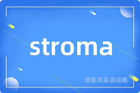 stroma