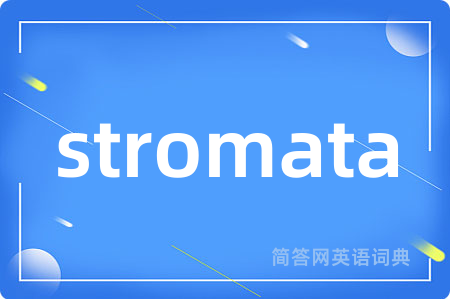 stromata是什么意思,stromata的中文翻译 stromata