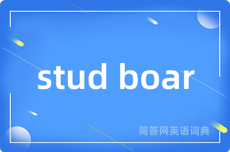stud boar