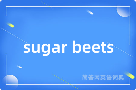 sugar beets