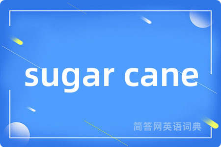 sugar cane是什么意思,sugar cane的中文翻译 sugar cane