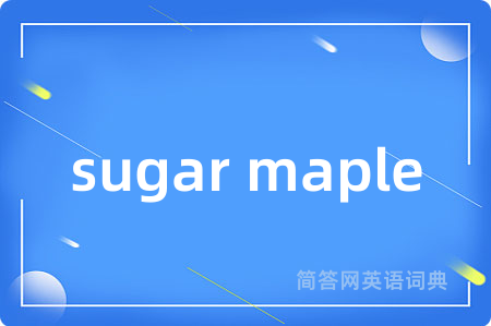 sugar maple是什么意思,sugar maple的中文翻译 sugar maple