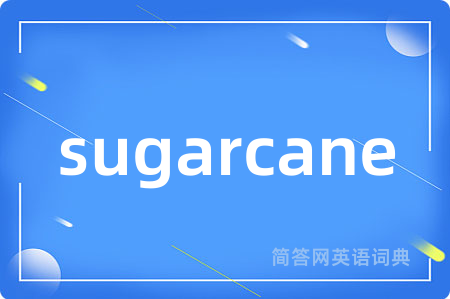 sugarcane