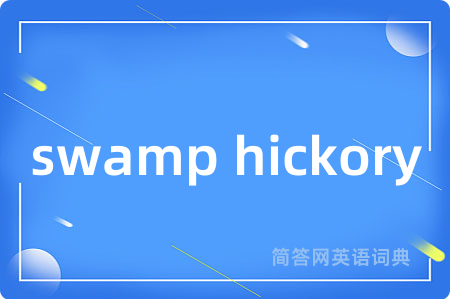 swamp hickory