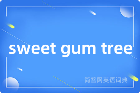 sweet gum tree