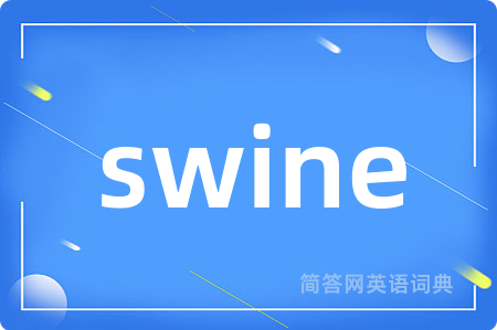 swine