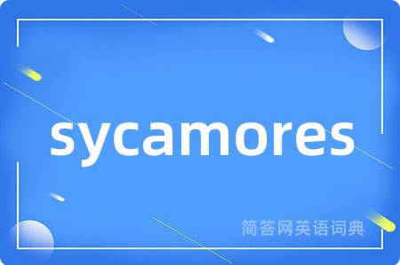 sycamores