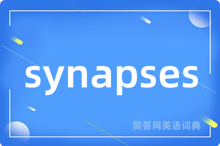 synapses
