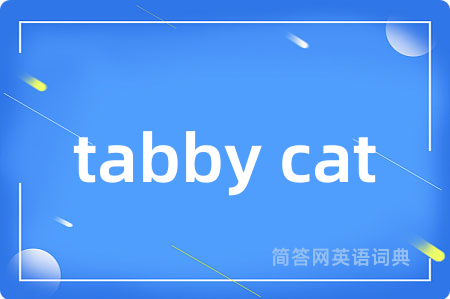 tabby cat