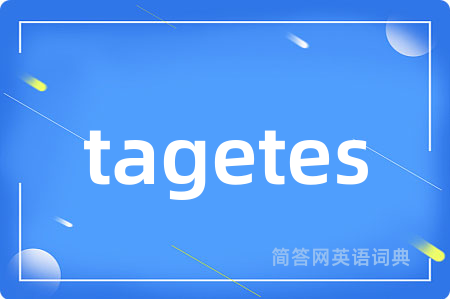 tagetes