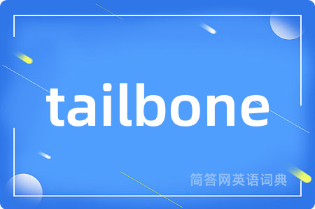 tailbone是什么意思,tailbone的中文翻译 tailbone