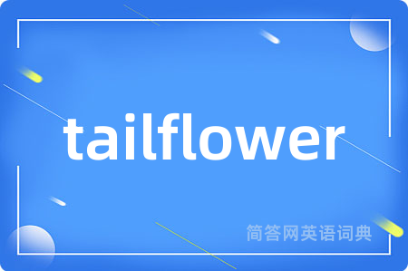 tailflower