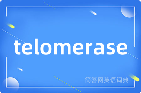telomerase