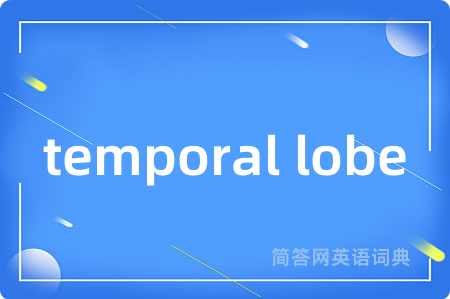 temporal lobe