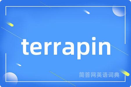 terrapin