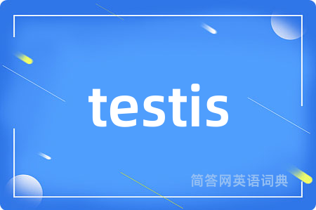 testis