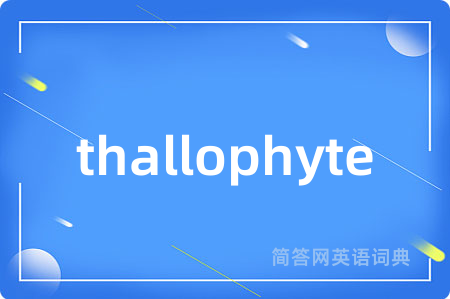 thallophyte