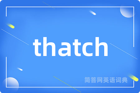 thatch