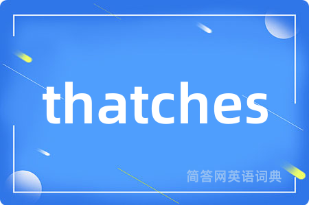 thatches是什么意思,thatches的中文翻译 thatches