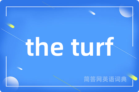 the turf是什么意思,the turf的中文翻译 the turf