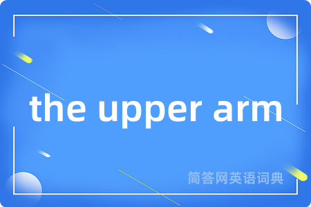 the upper arm是什么意思,the upper arm的中文翻译 the upper arm