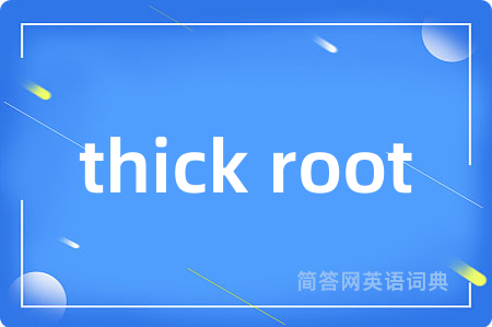 thick root