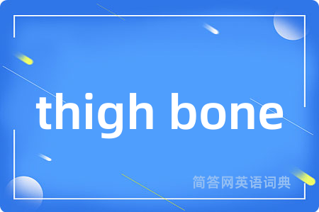 thigh bone