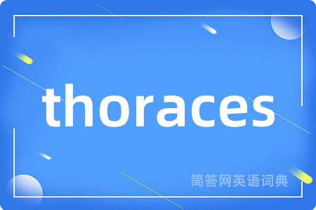 thoraces