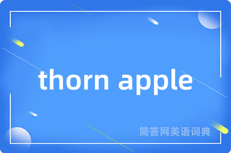 thorn apple
