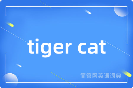 tiger cat
