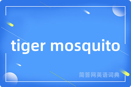 tiger mosquito是什么意思,tiger mosquito的中文翻译 tiger mosquito