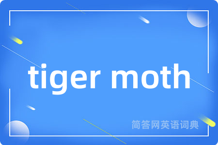 tiger moth