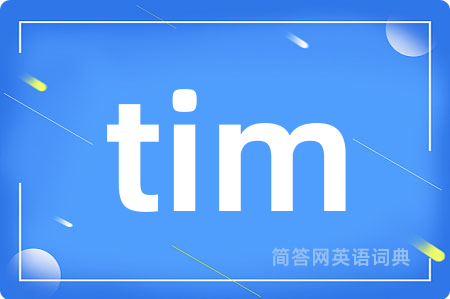 tim是什么意思,tim的中文翻译 tim